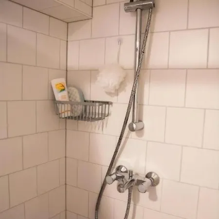 Houseboat Ark Amstel 3* Amsterdam